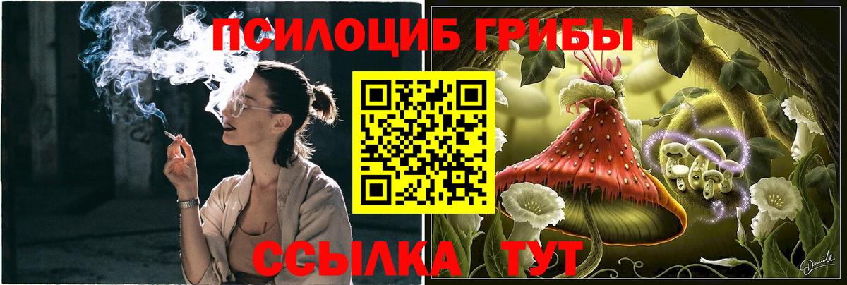 Псилоцибиновые грибы Magic Shrooms  Галлюциногенные грибы Cubensis  Карпинск  Вход с VPN 